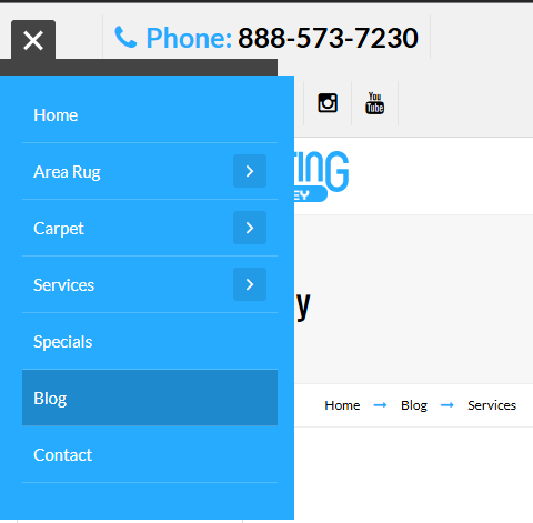 DIY Spot Cleaner for Carpet: Effective Homemade Solutions